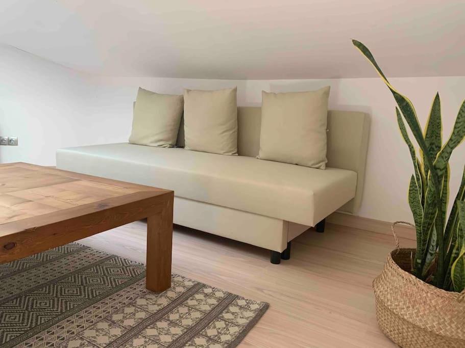 La Pau Apartaments Mollerusa Exteriör bild
